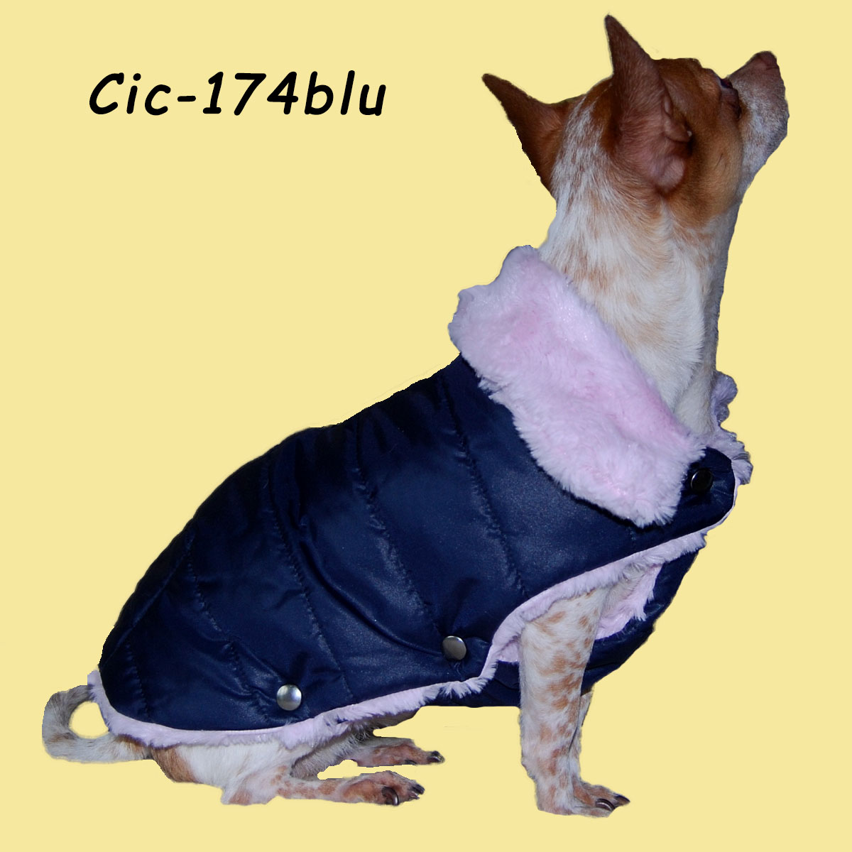 Cic-174blu.jpg