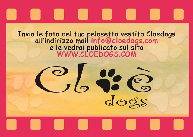 EspositoreDaBanco CLOEDOGS Copia