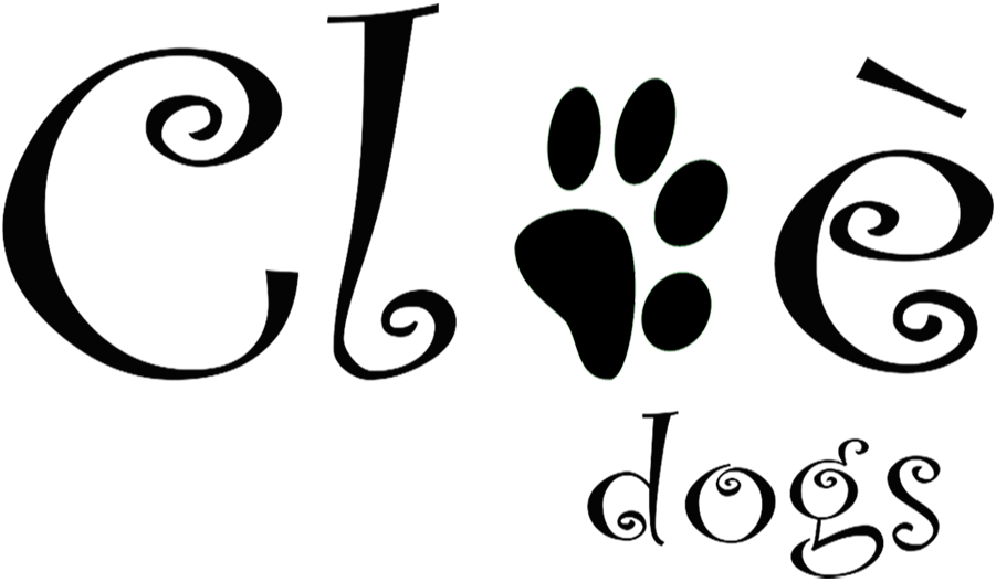 Logo definitivotrasparente