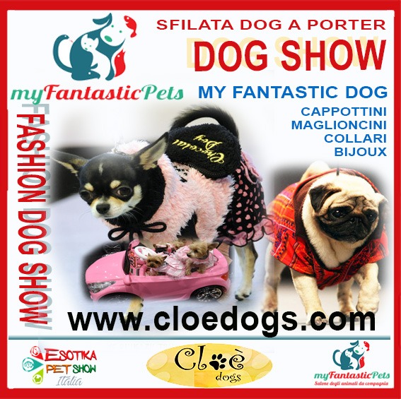 Sfilata dog a porter