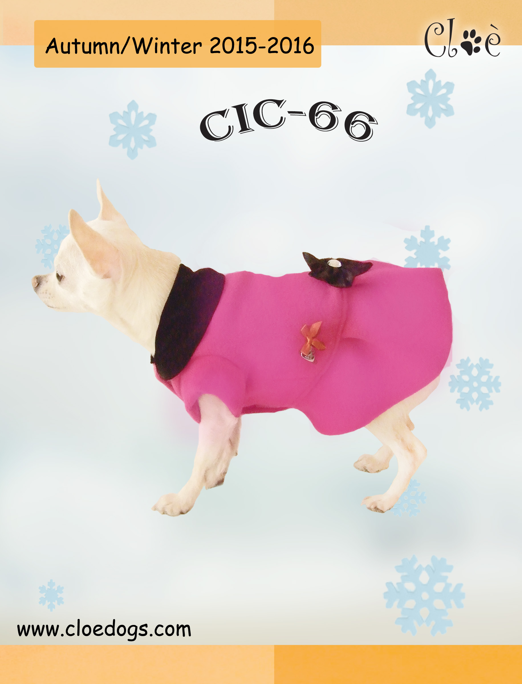 CIC 66