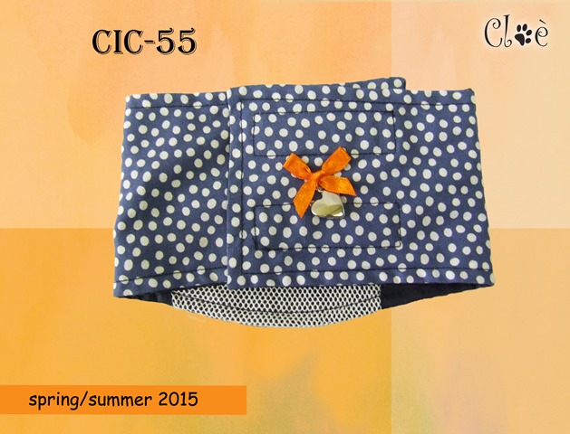 CIC 55