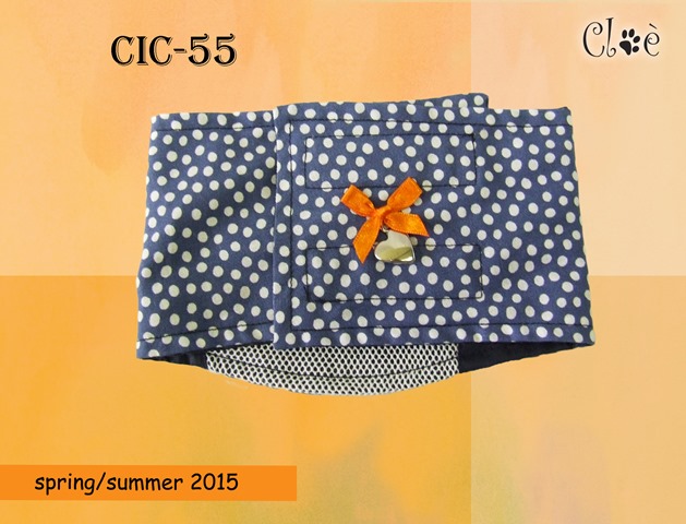 CIC 55